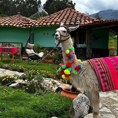 Tullpa Rumy Yungay Dış mekan fotoğraf
