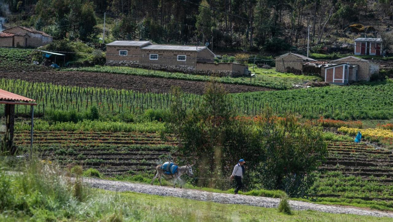 Tullpa Rumy Yungay Dış mekan fotoğraf