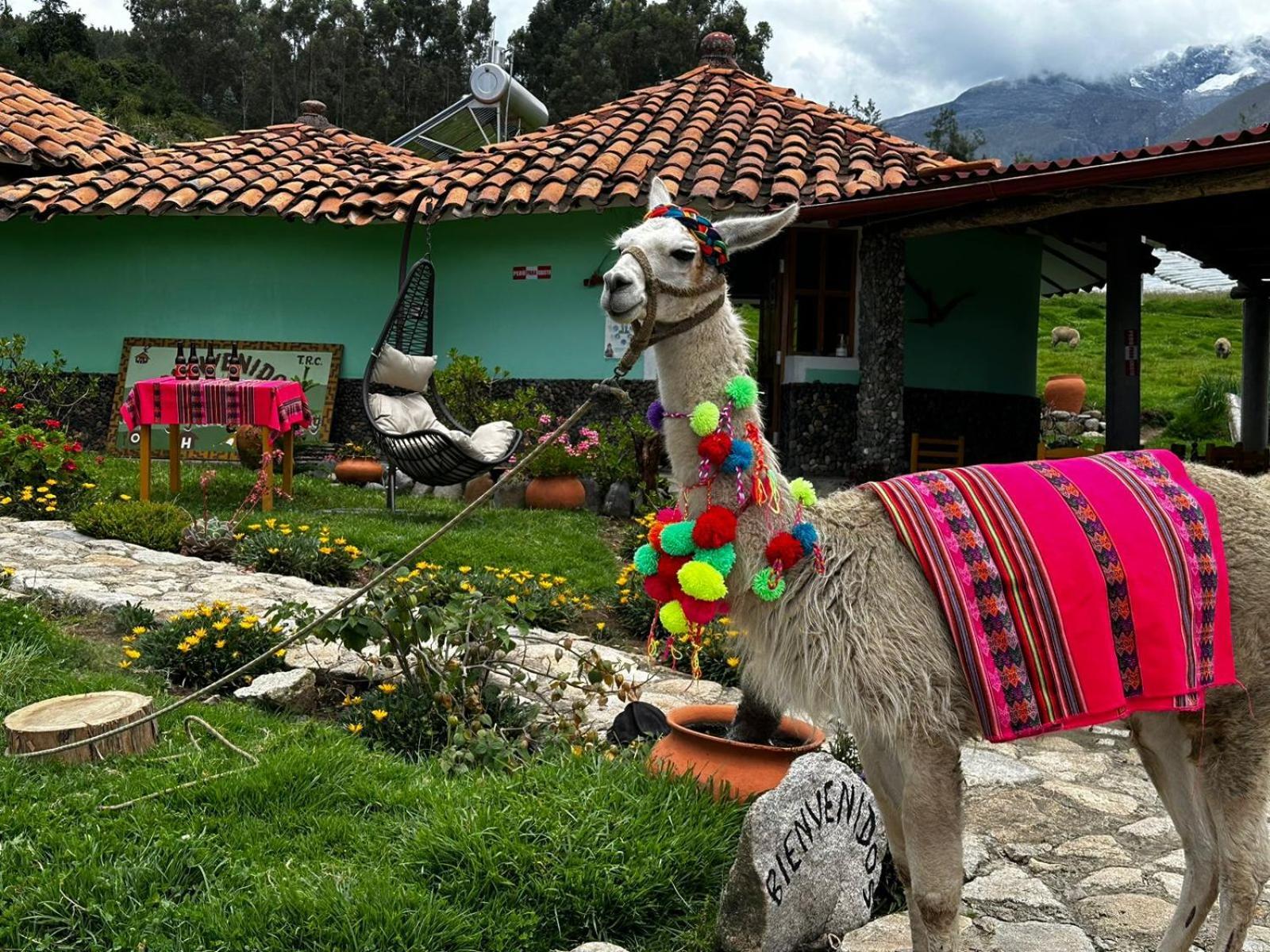 Tullpa Rumy Yungay Dış mekan fotoğraf