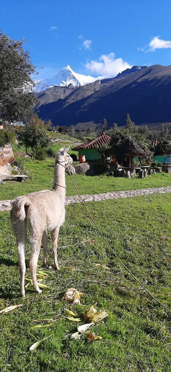 Tullpa Rumy Yungay Dış mekan fotoğraf