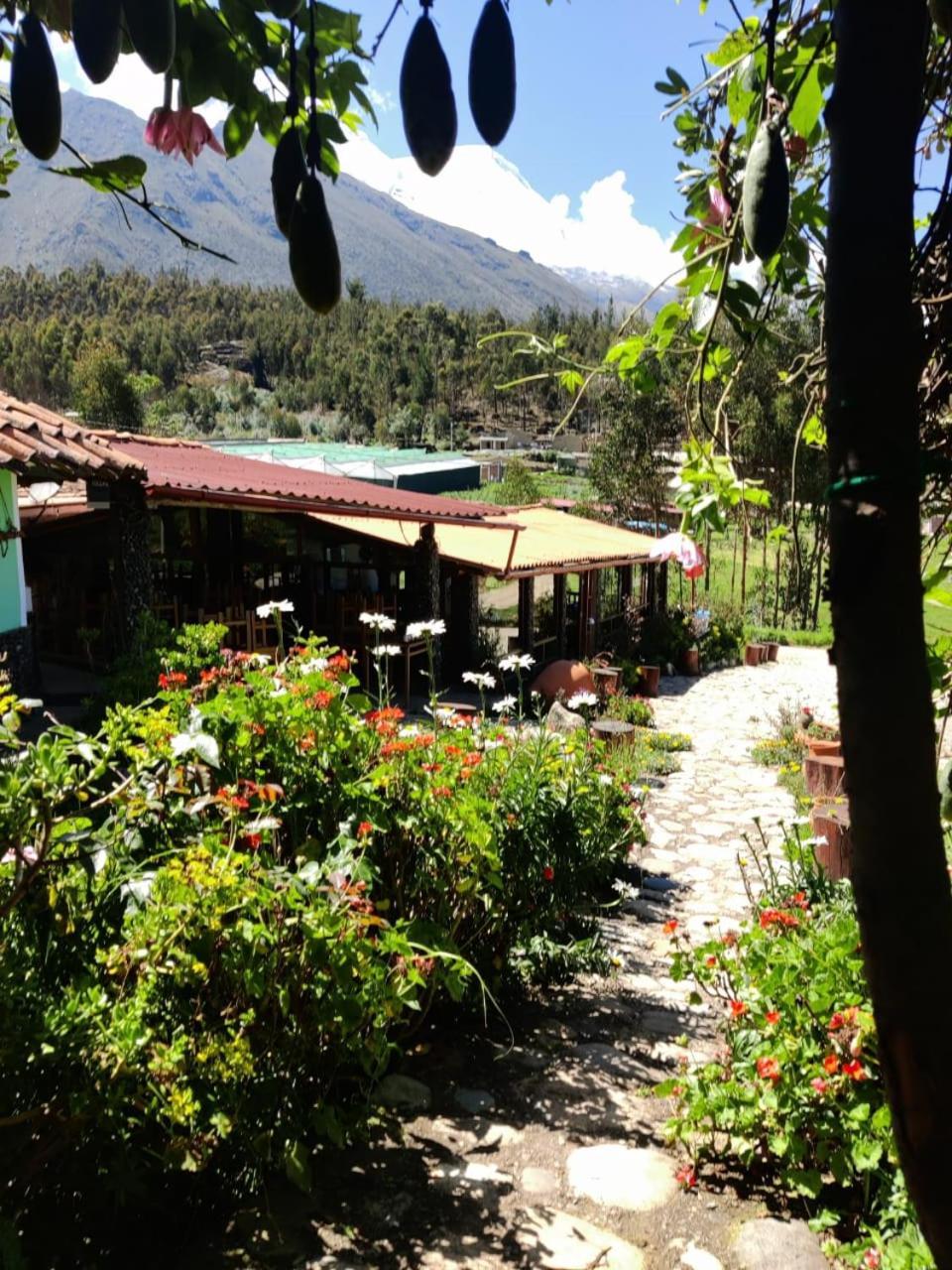 Tullpa Rumy Yungay Dış mekan fotoğraf